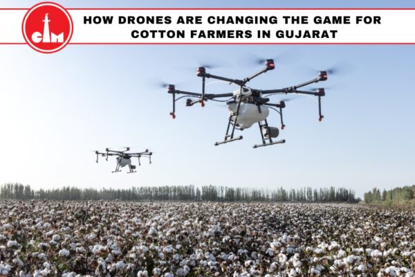 cotton farming